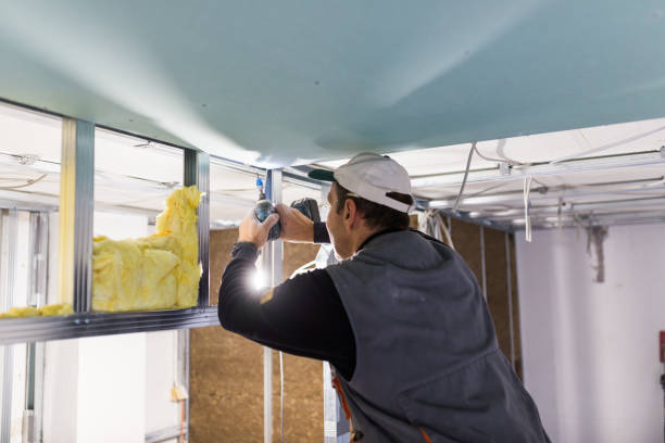 Best Home Insulation Services  in Edenton, NC