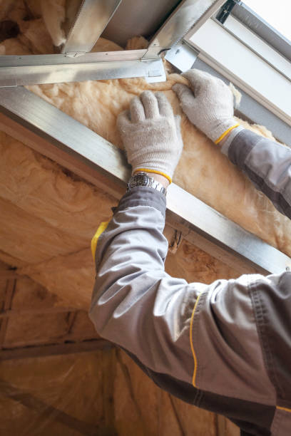 Best Insulation for New Construction  in Edenton, NC