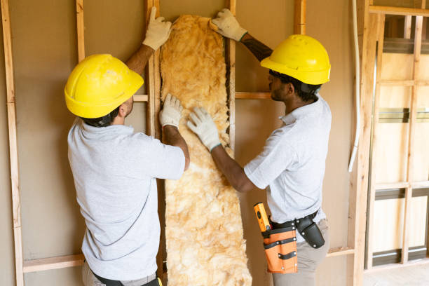 Trusted Edenton, NC Insulation Contractor Experts