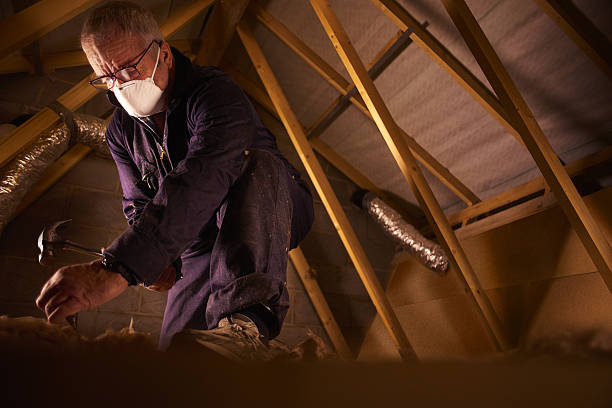 Best Wall Insulation Contractor  in Edenton, NC