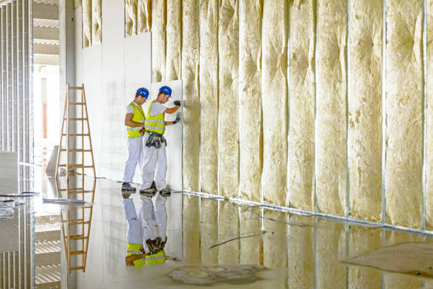 Best Insulation Contractor Near Me  in Edenton, NC